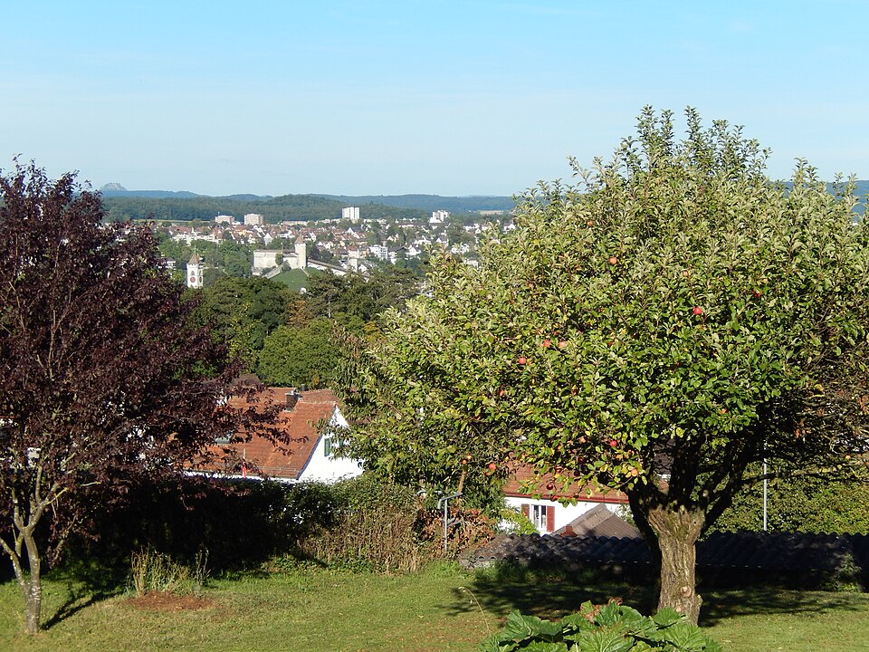 Galgenbuck Neuhausen