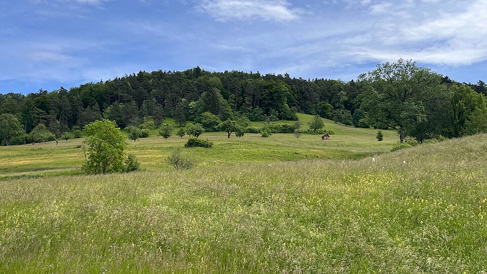 Naturschutzgebiet Eigental