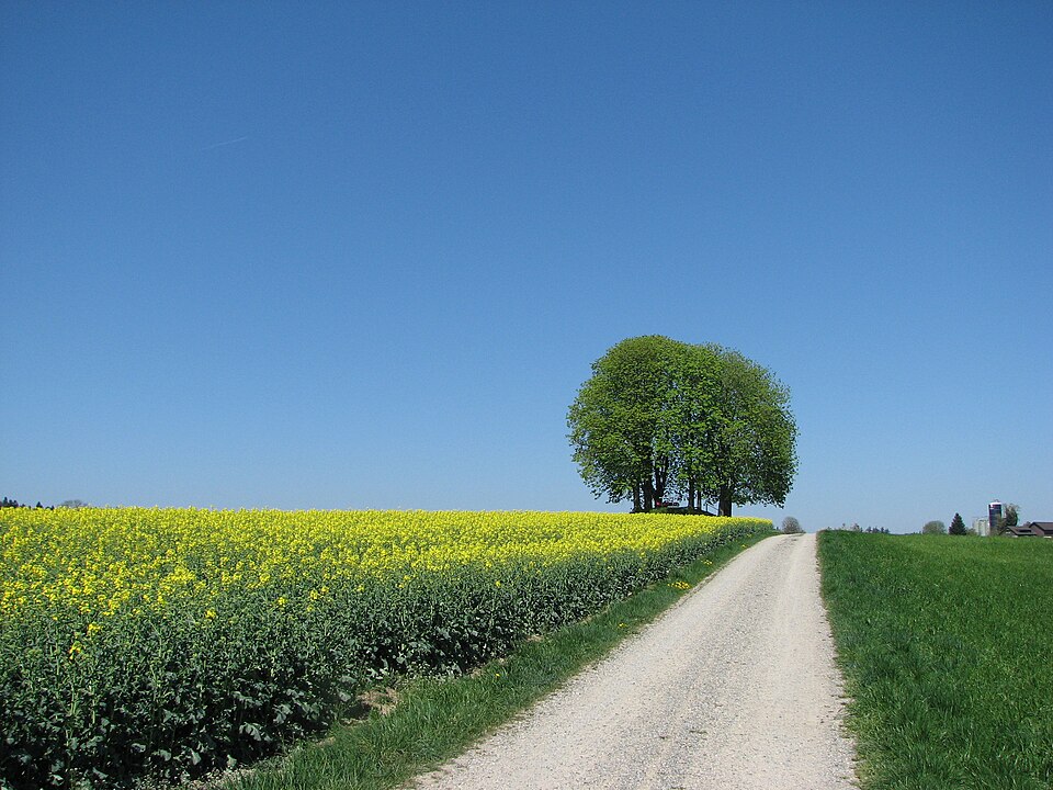 Aussichtspunkt Loren