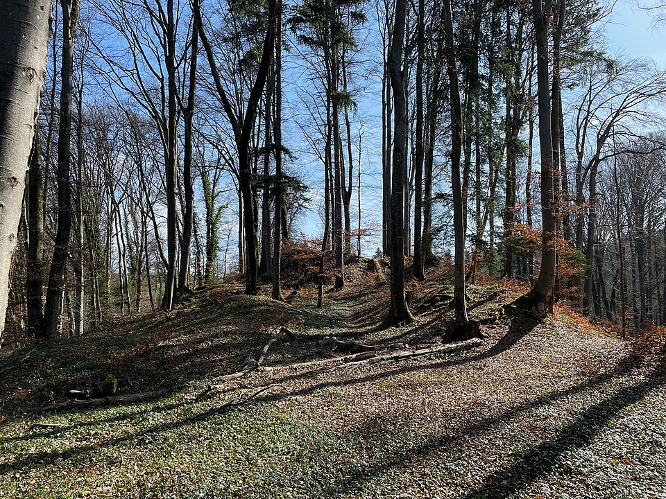 Ruine Wagenburg