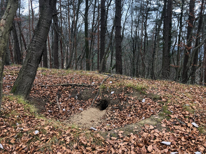 Burgstelle Radegg