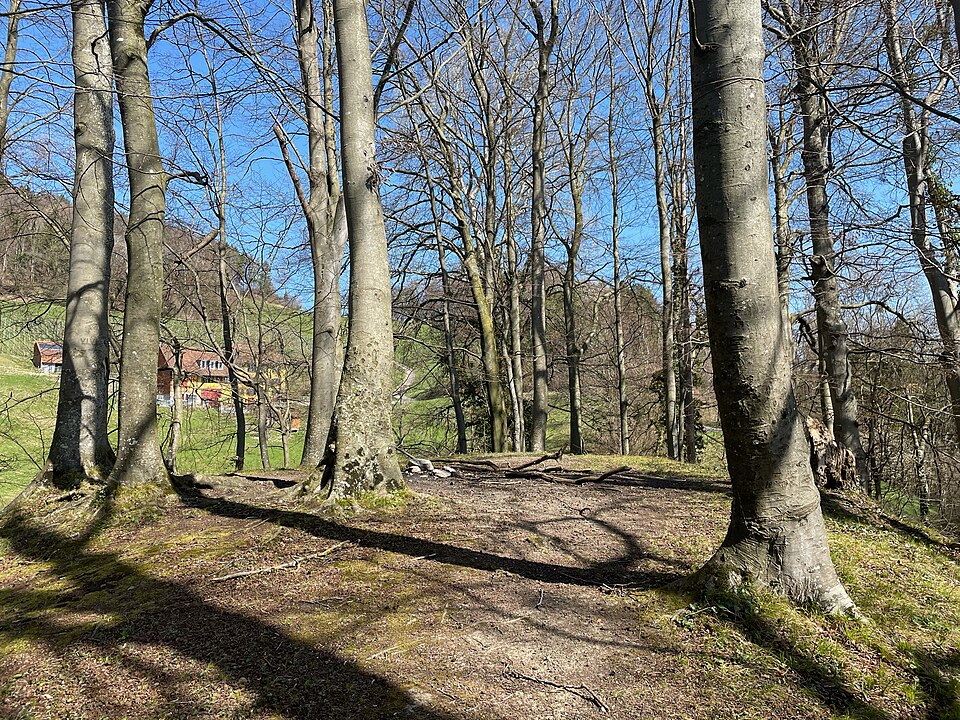 Wartburg Ruine, Burgstelle Wart