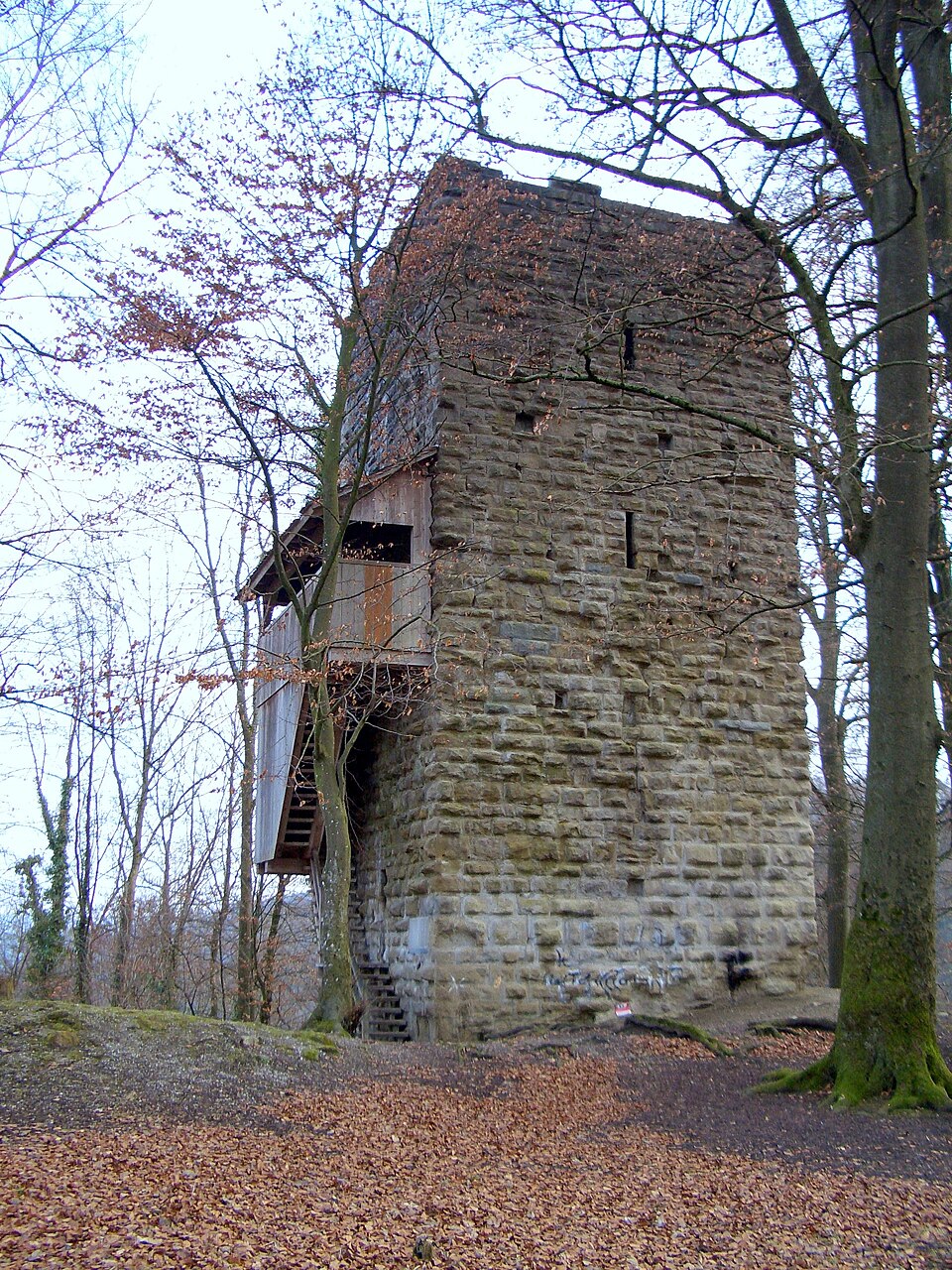 Ruine Alt-Wülflingen