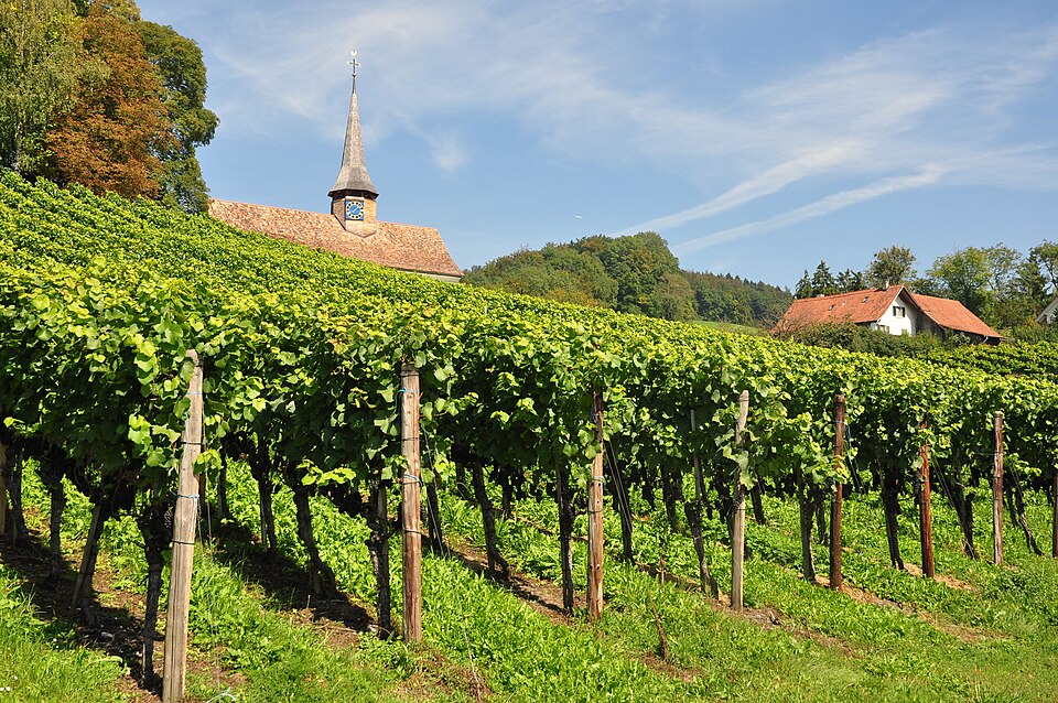 Galluskapelle Oberstammheim