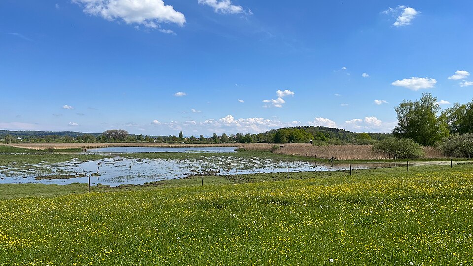 Neeracherried
