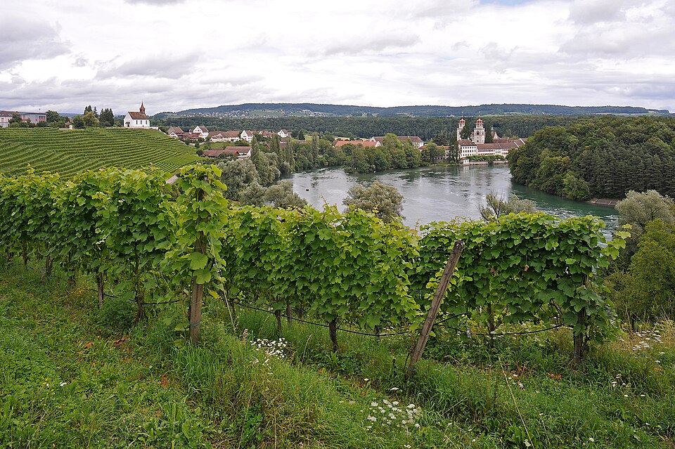 Klosterinsel Rheinau
