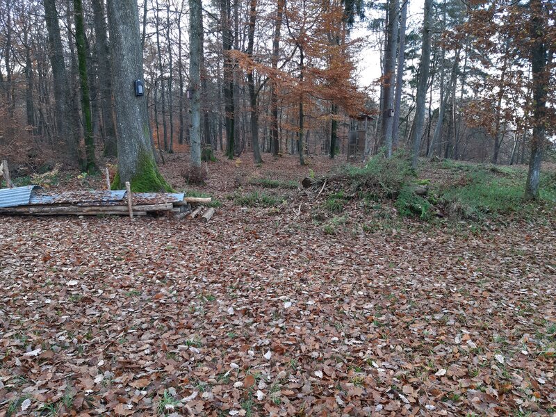 Kleiner Hebelstein