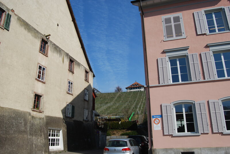 Weinwanderweg Eglisau–Rafz