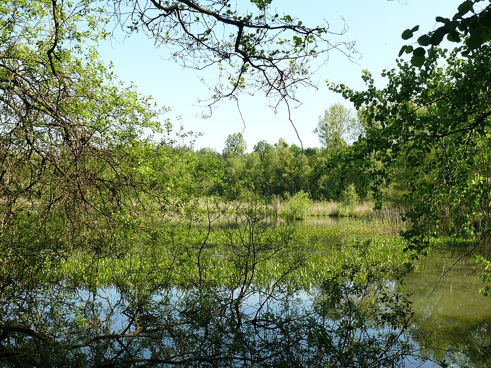 Naturschutzgebiet Entenweiher
