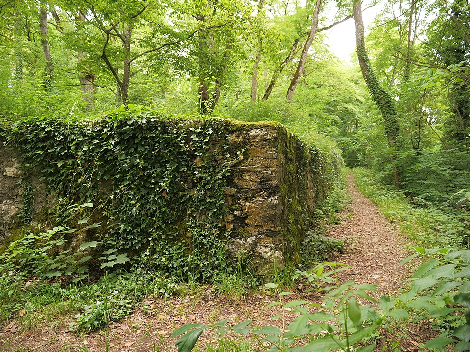 Ruine Neuburg
