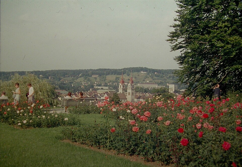 Rosengarten Winterthur