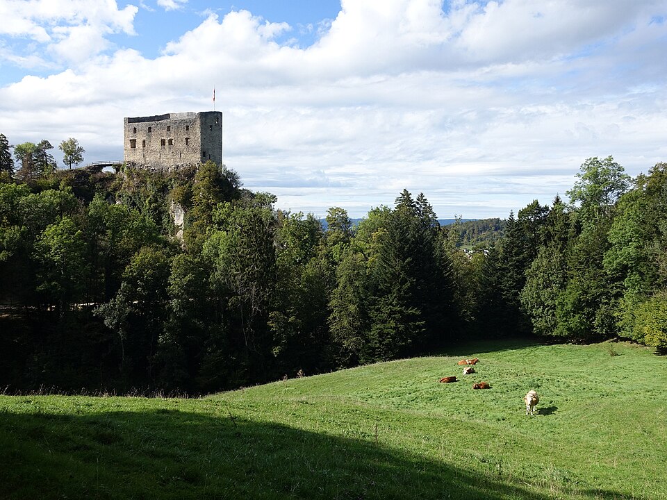 Aussichtspunkt Burg (Wagenhausen)
