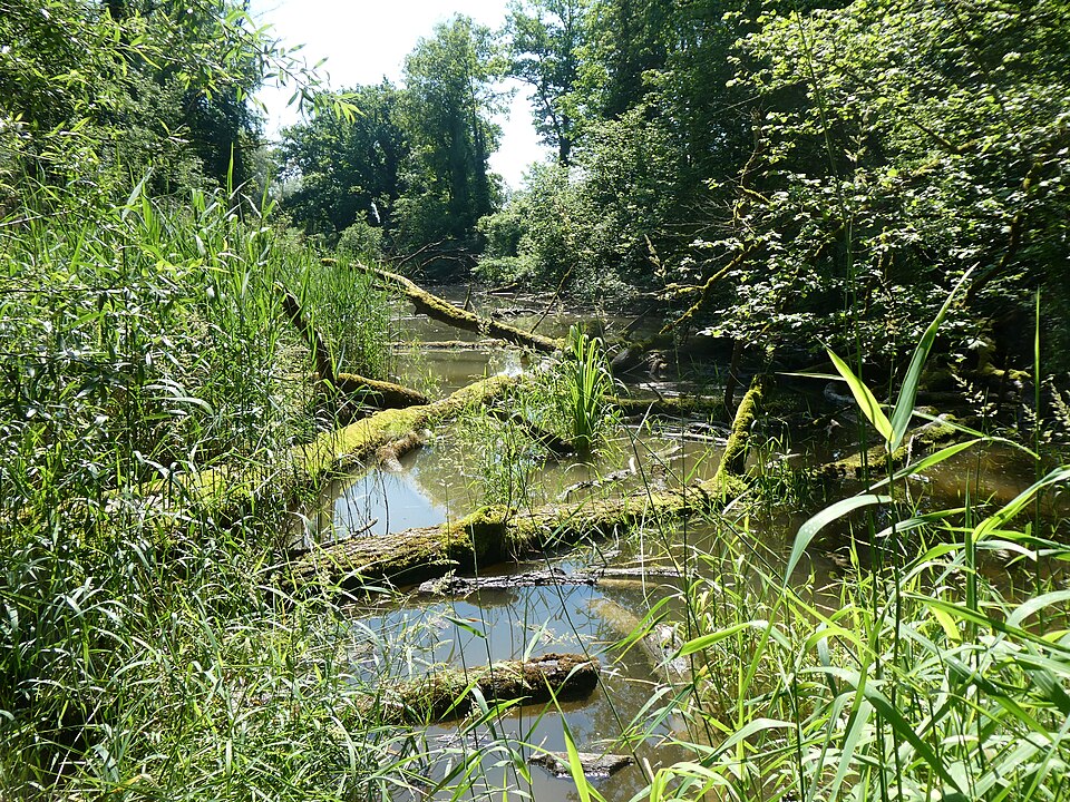 Altnau Apfelweg