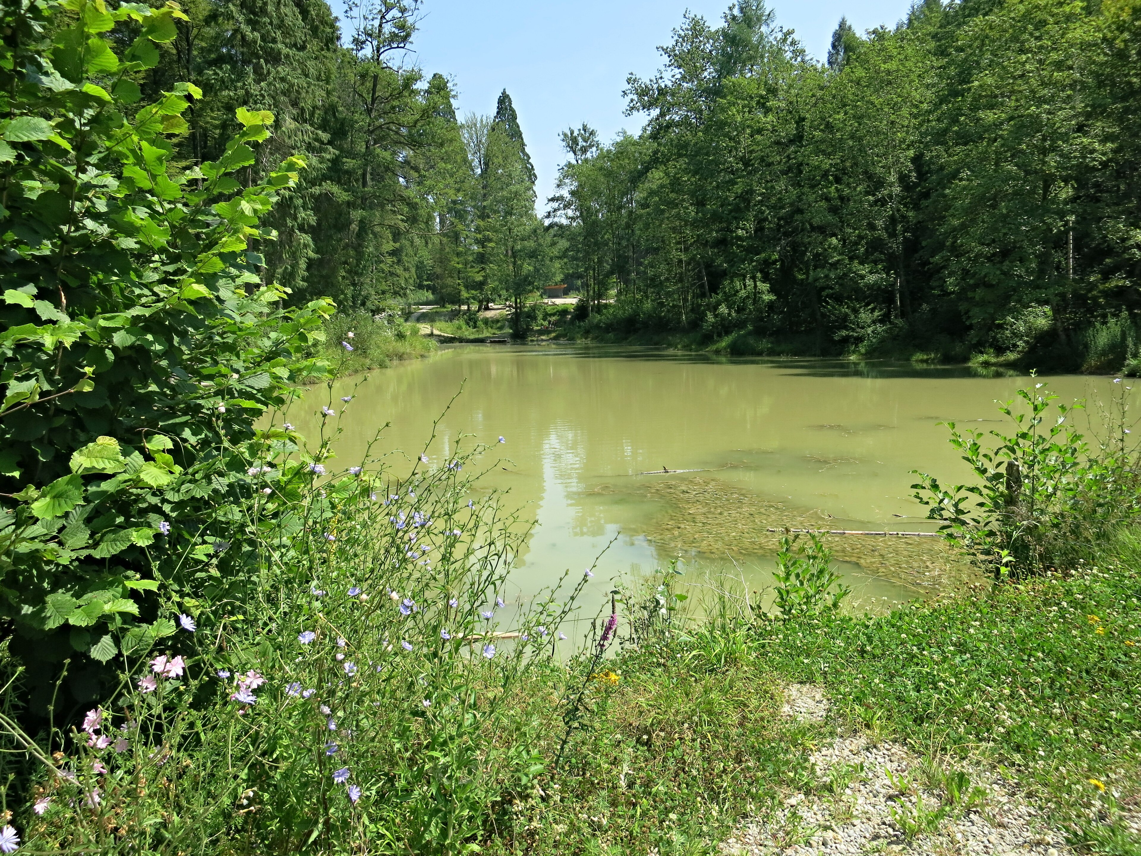 Grillstelle Walcheweiher