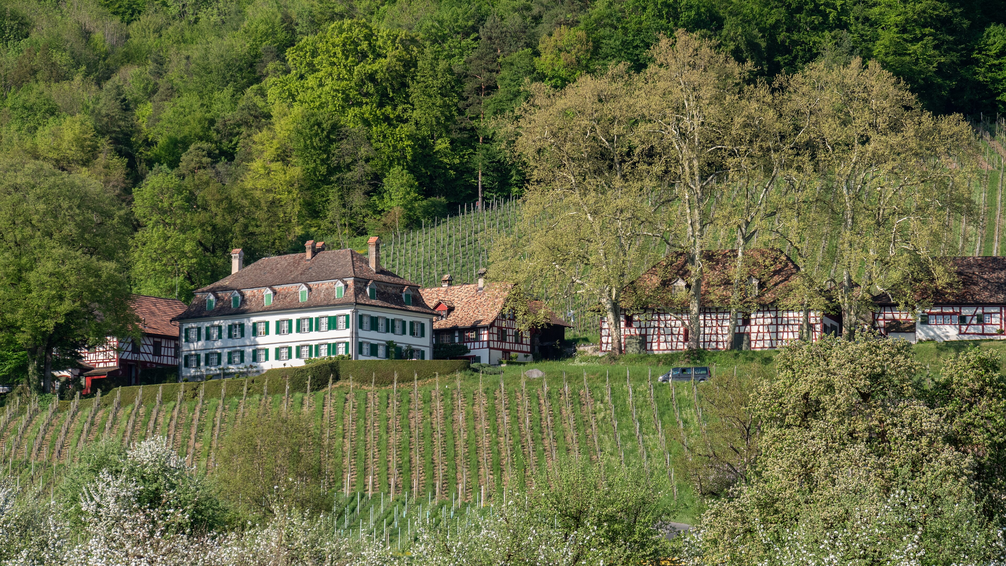 Schloss Bachtobel / Schlossgut Bachtobel