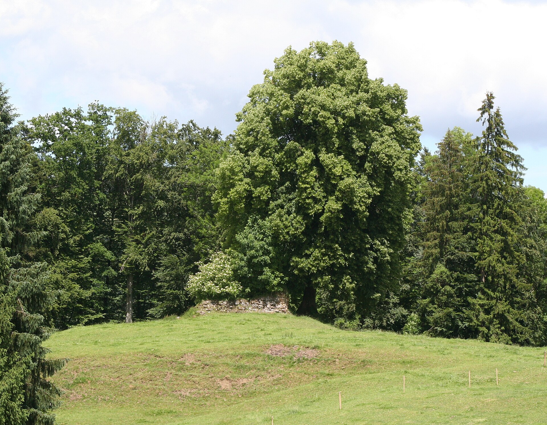 Ruine Toessegg