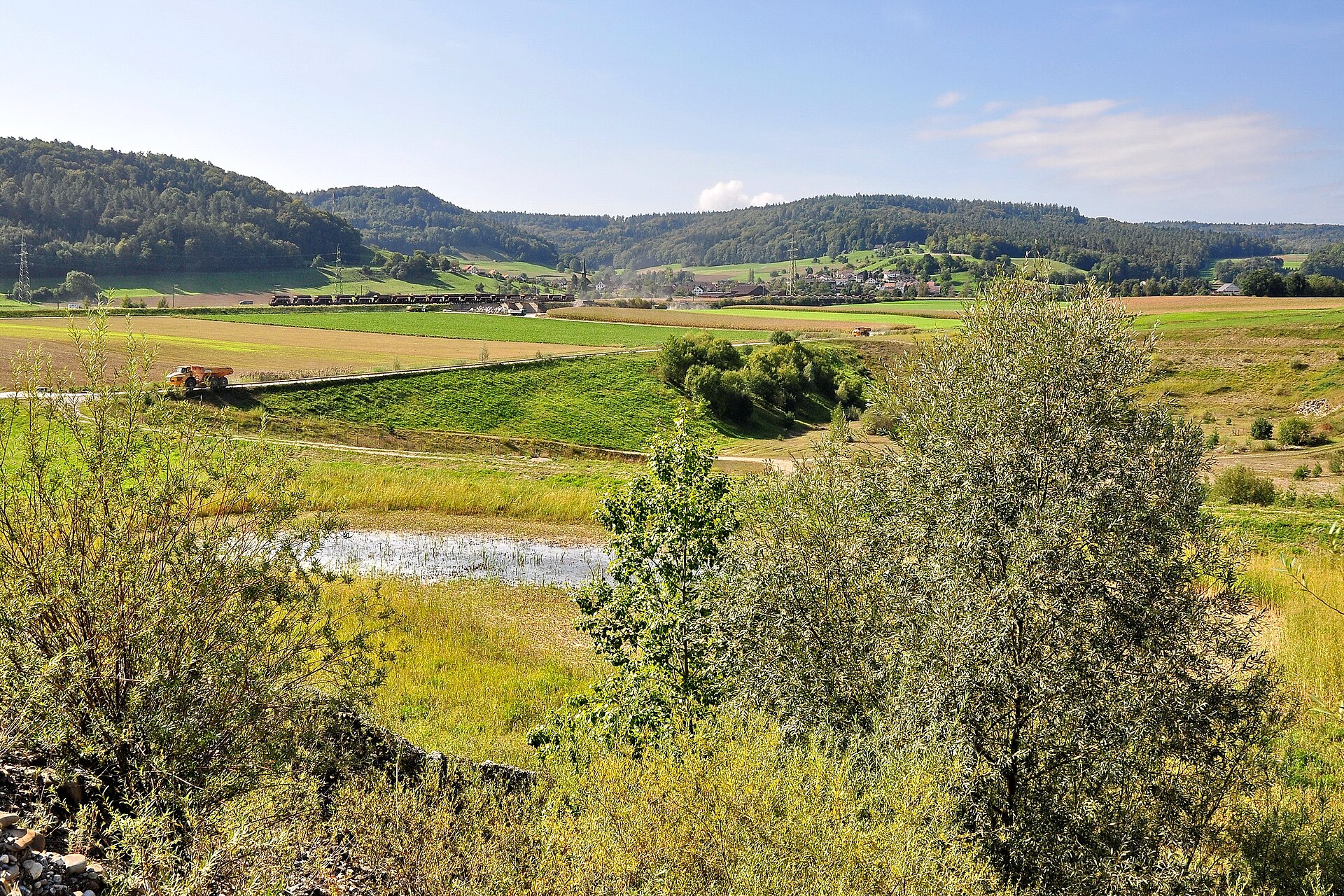 Amphibienlaichgebiet Rueteren (Weiach)