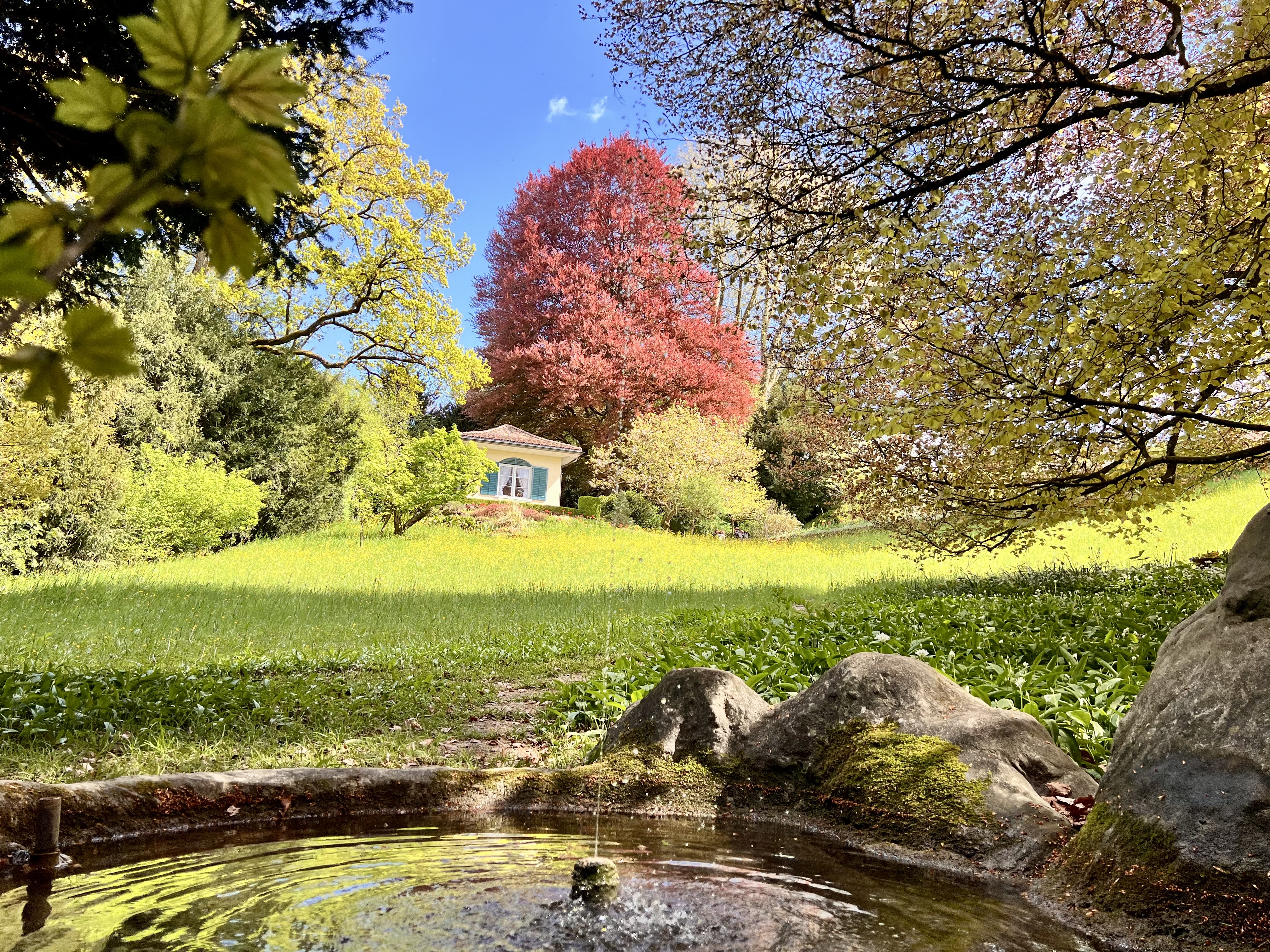 Schlosspark Andelfingen