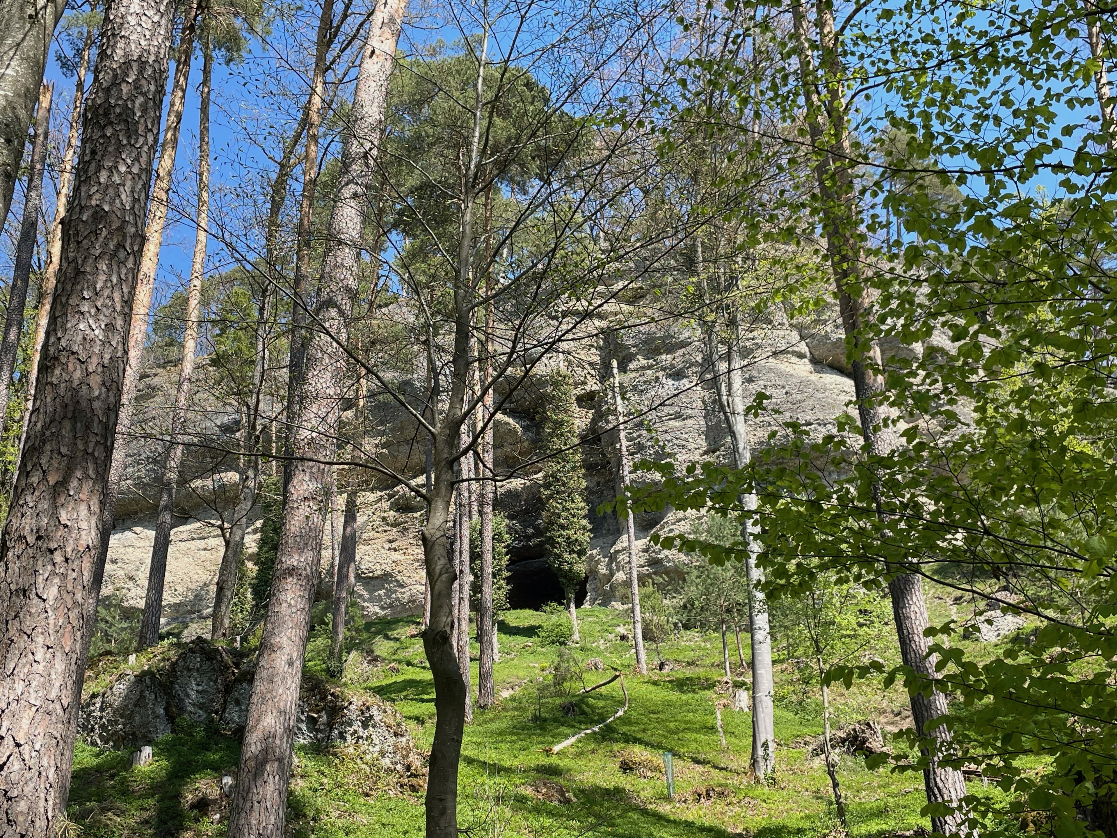 Erdmannliloch