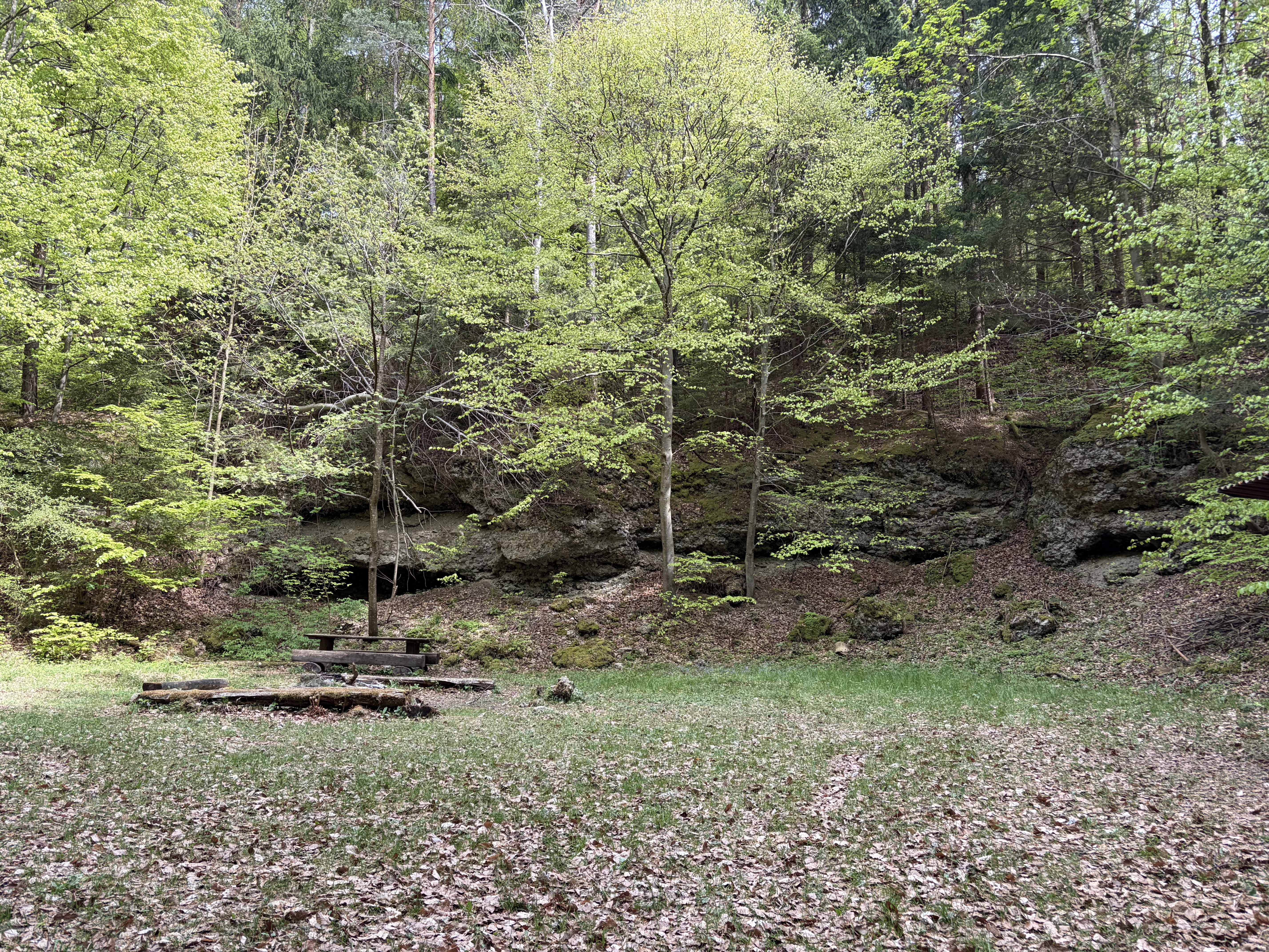Nagelfluh
