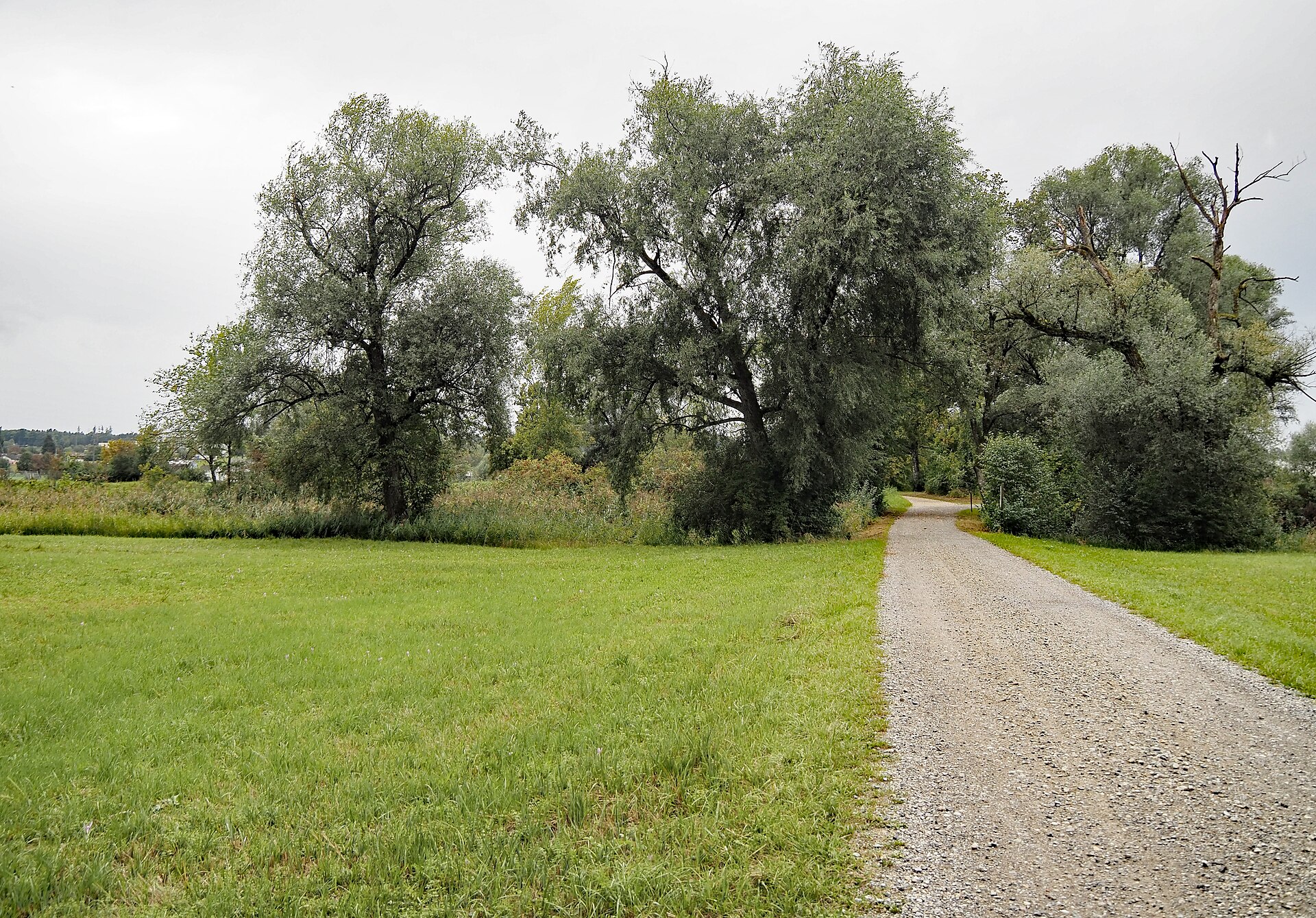 Naturschutzgebiet Altlaeufe der Glatt