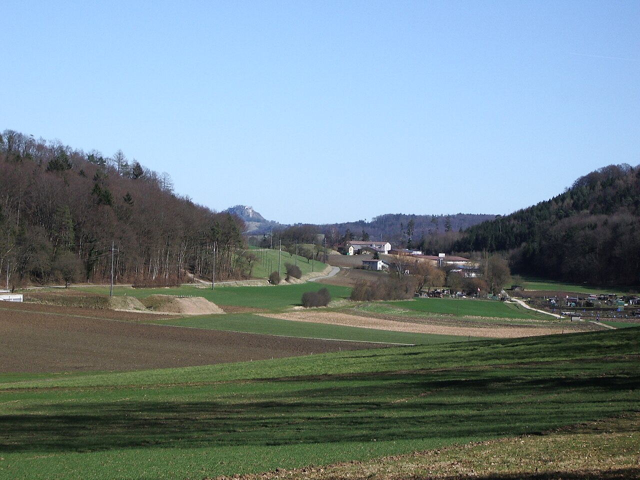 Weier (UNESCO-Pfahlbauten)