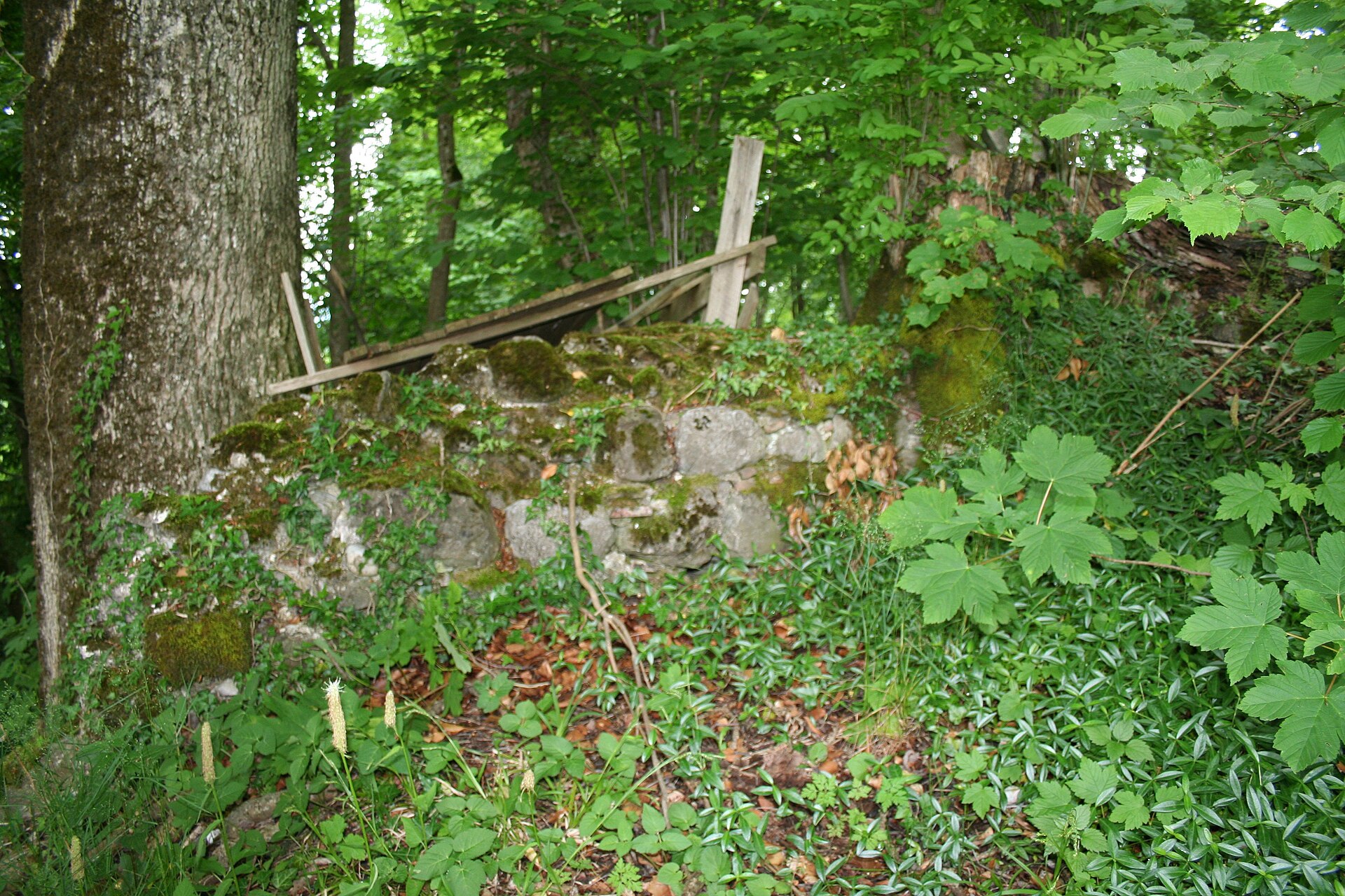 Ruine Breitenlandenberg