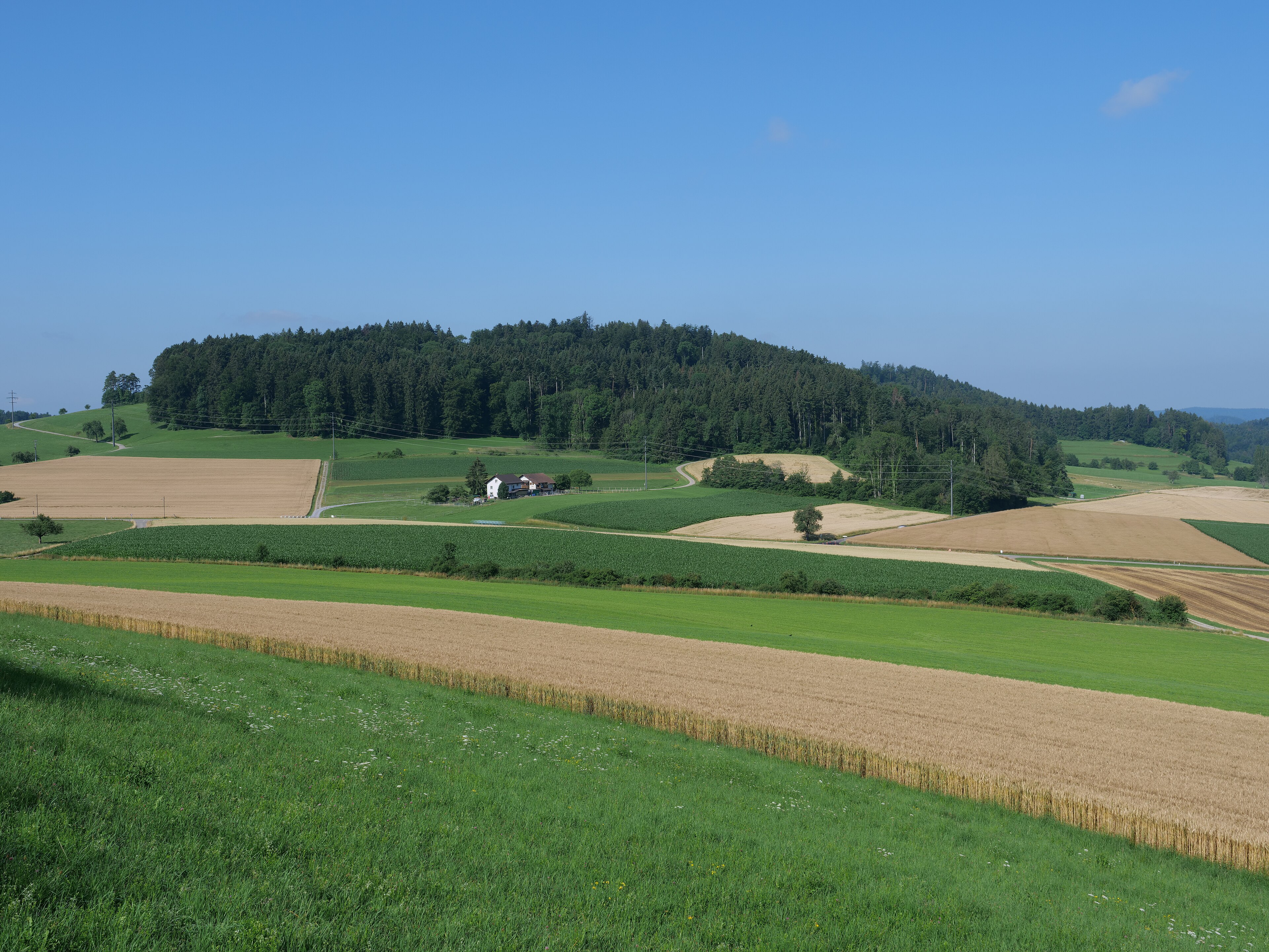 Hoechster Punkt von Winterthur